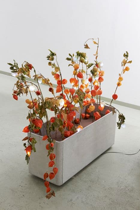 Silke Schatz — Choose Love