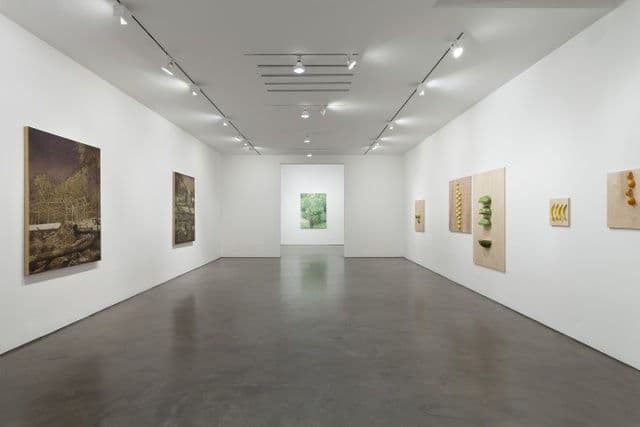 Matthew Benedict, Robert Bordo, Diango Hernández, Stefan Kürten, Sylvia Plimack Mangold — New Paintings — image 1 of 6