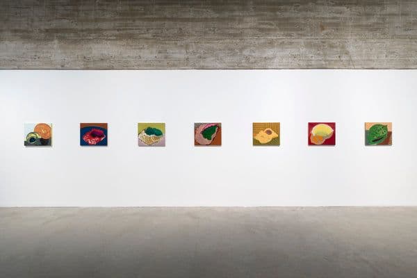 Hugo Ruyant — Leave a Mess Age — image 5 of 8