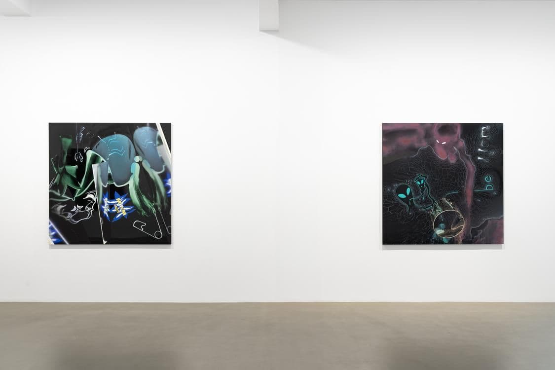 Seth Price — Free Fall — image 2 of 7