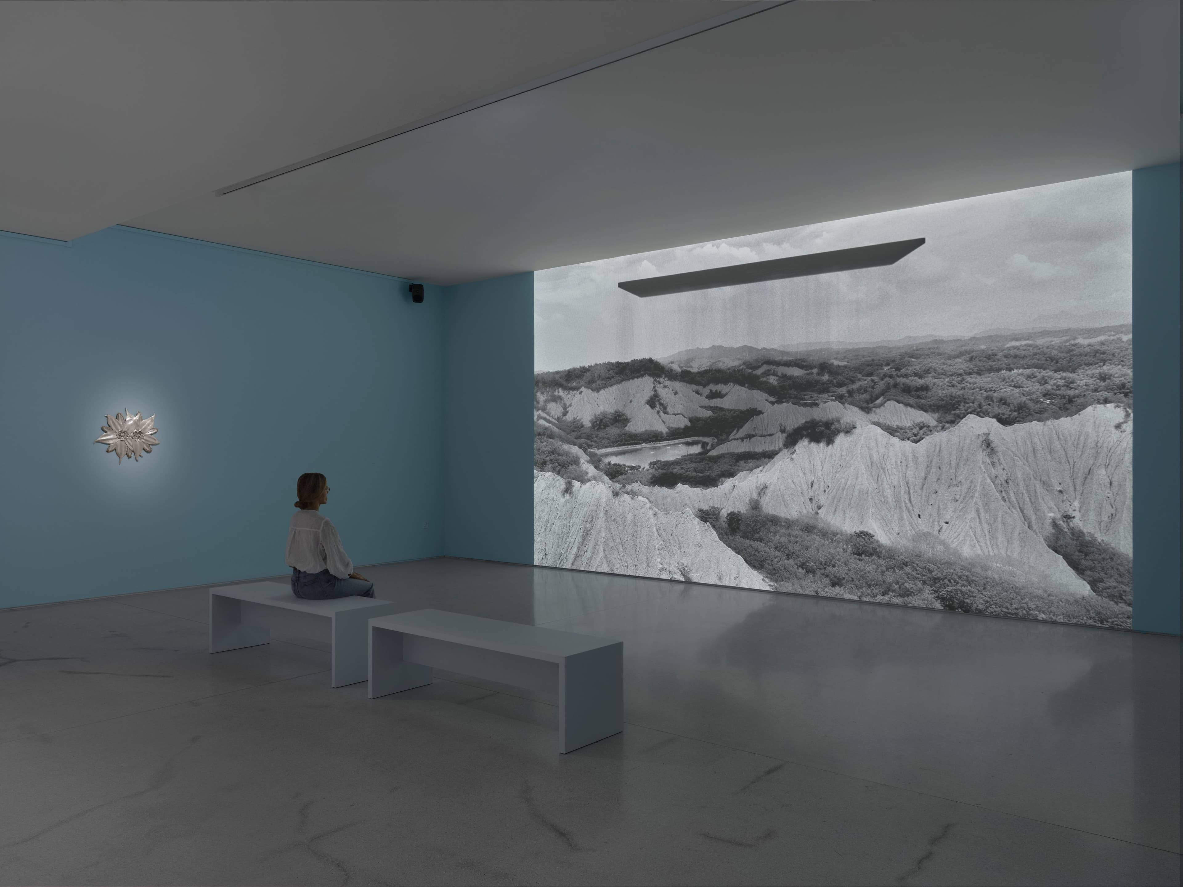 Laurent Grasso — Orchid Island — image 1 of 4