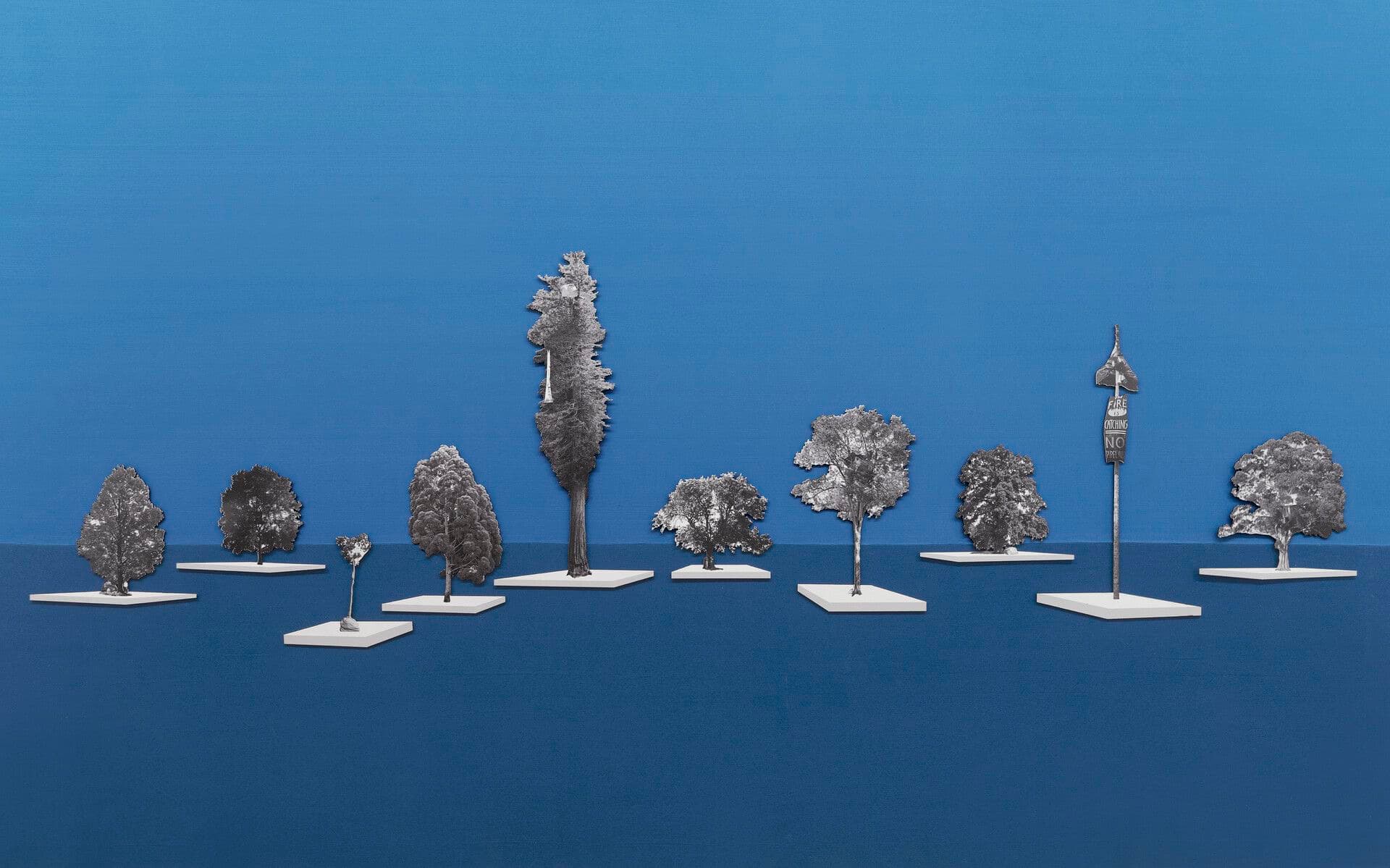 Oto Hudec — Floating Arboretum