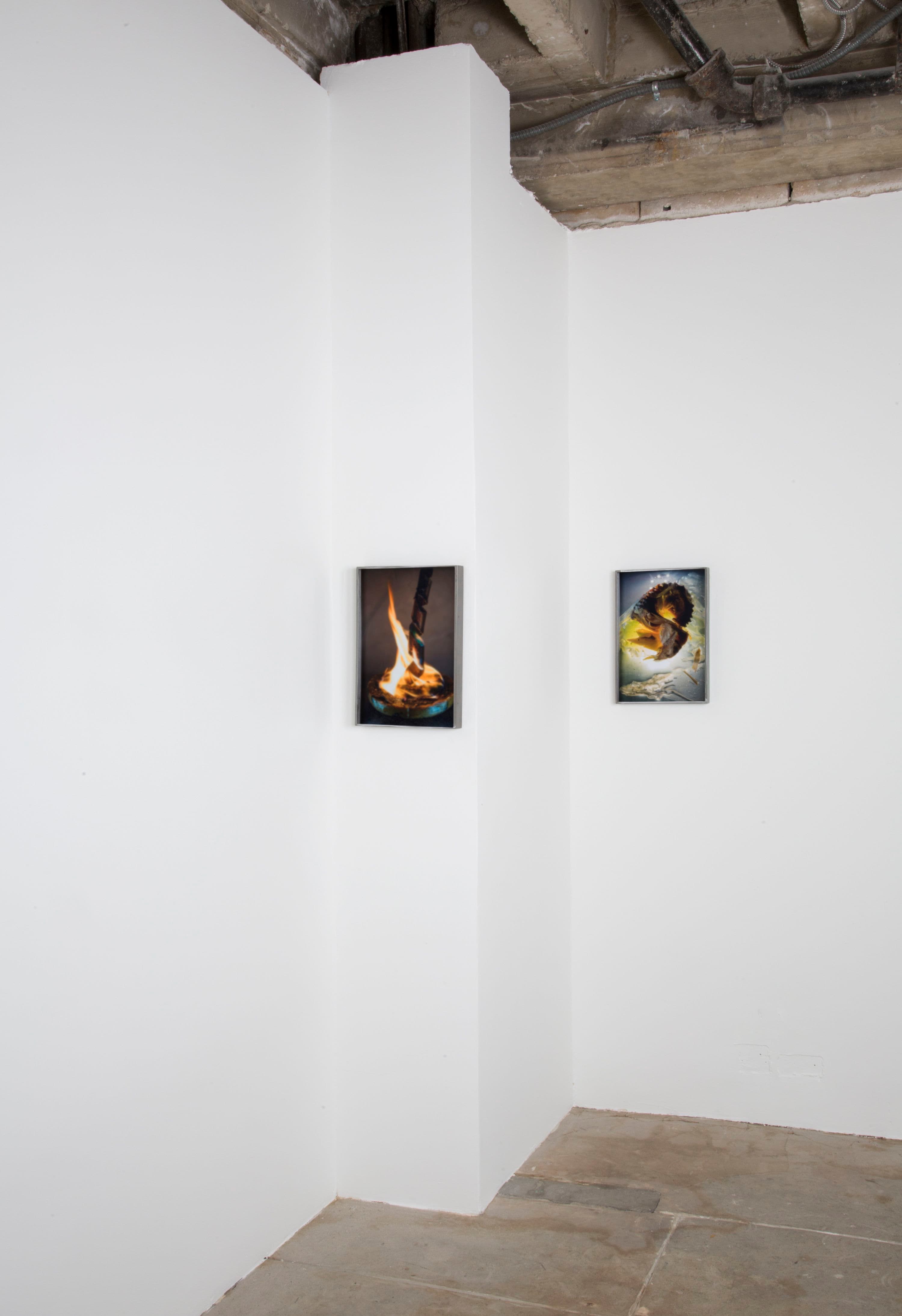 Diane Severin Nguyen — Flesh Before Body — image 4 of 5