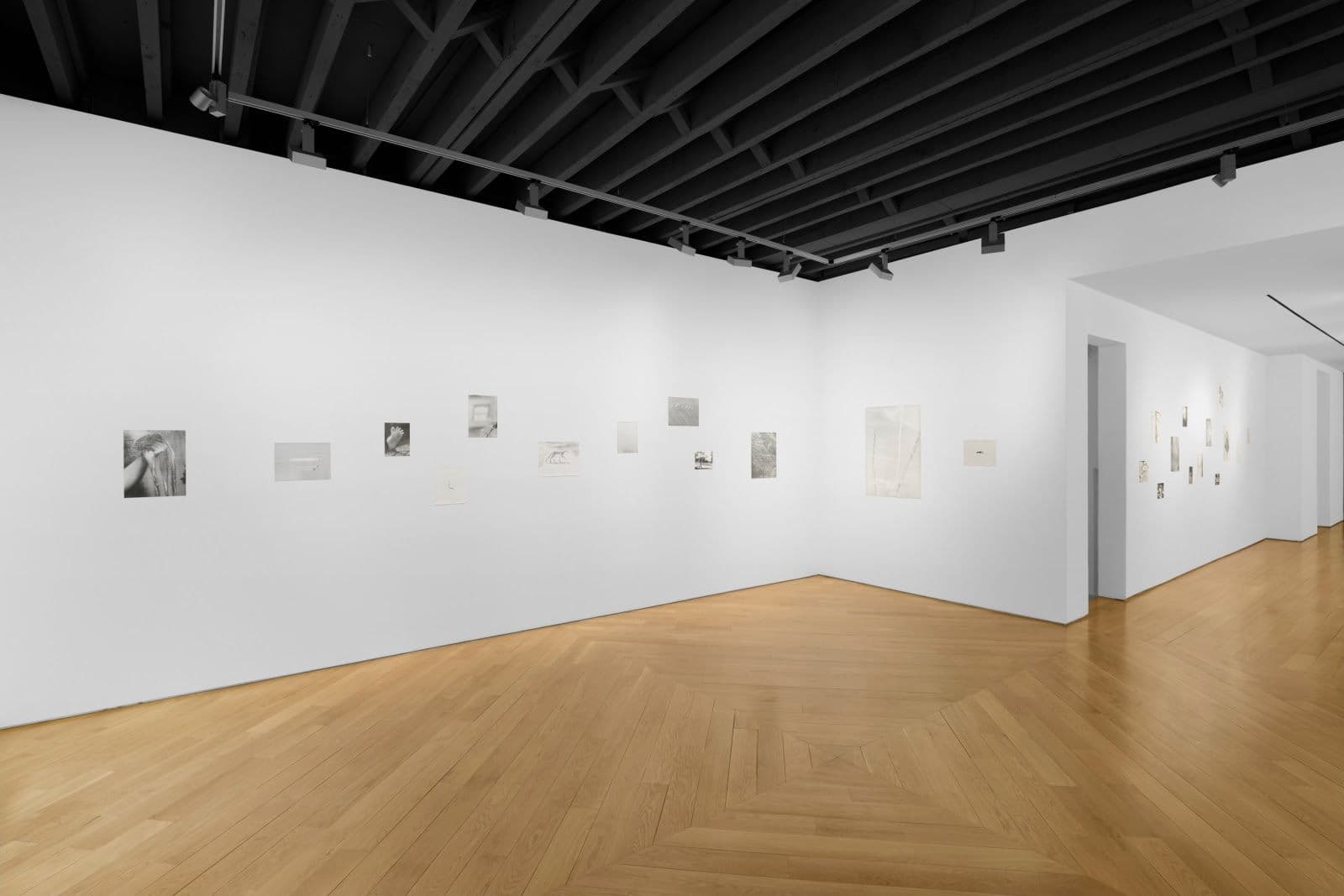 Jochen Lempert — Jochen Lempert — image 1 of 2