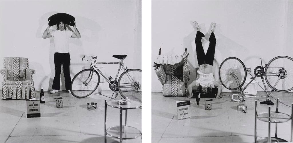 William Wegman — Private Show