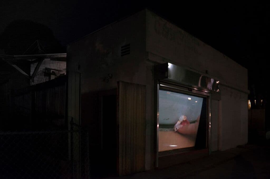 Mitra Saboury — Gut House — image 5 of 6