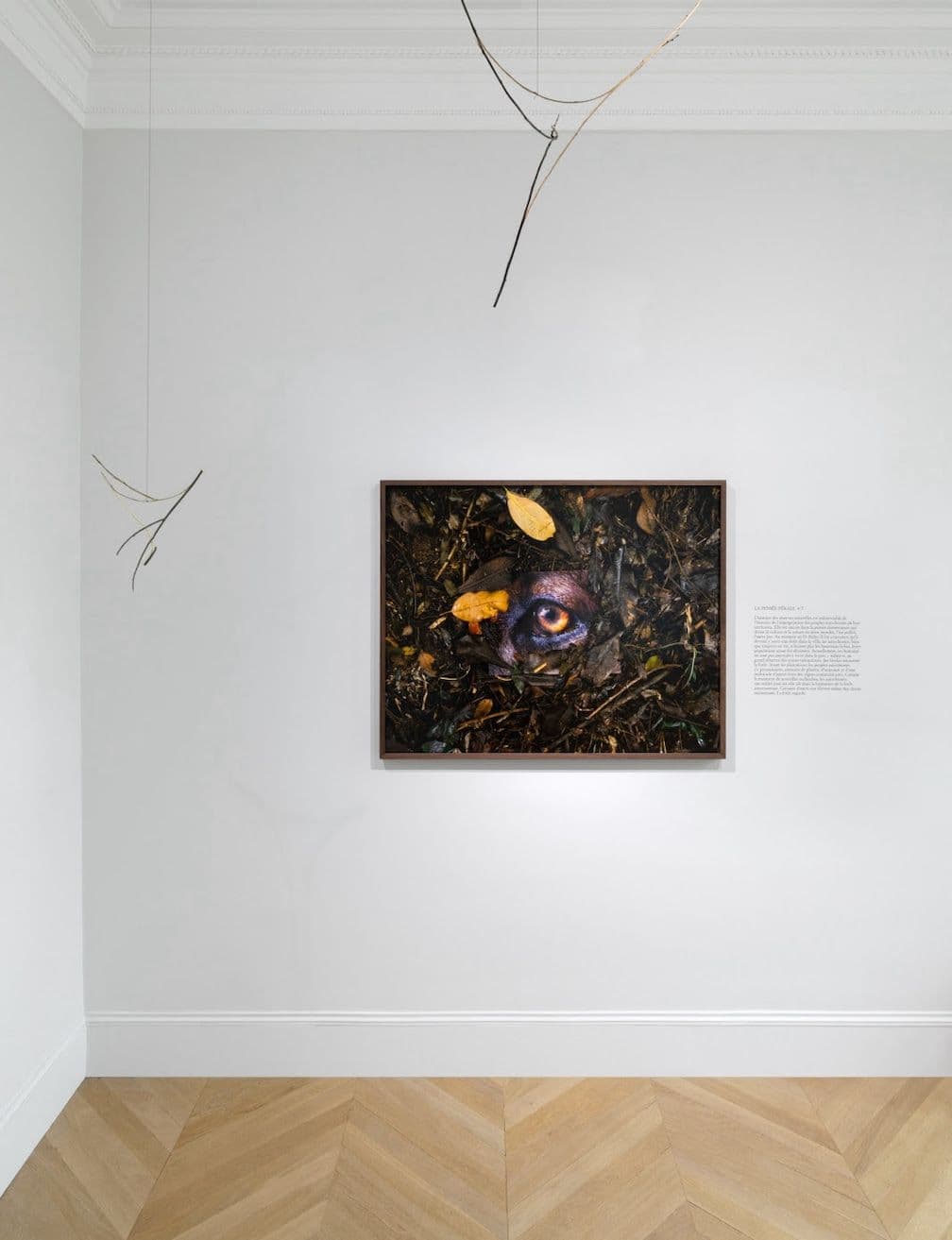 Daniel Steegmann Mangrané — La Pensée Férale — image 3 of 4