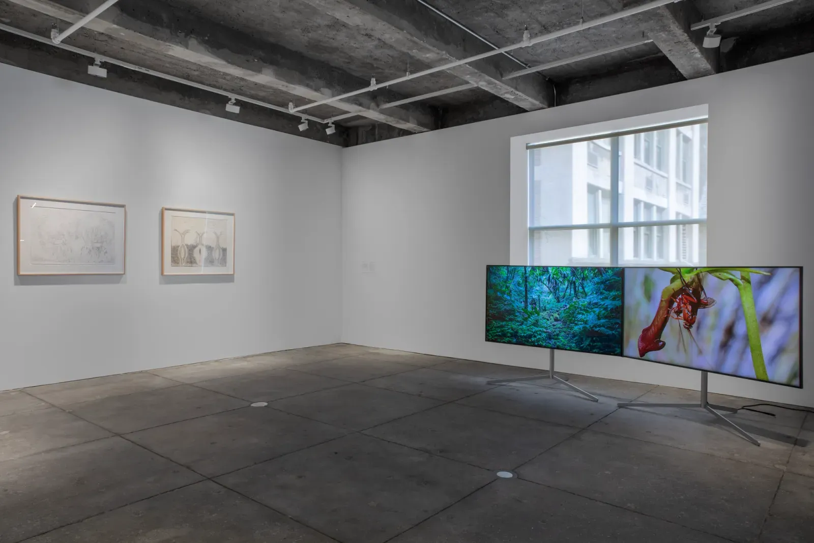 Group Exhibition — And We Learn to Keep the Soil Wet — image 4 of 4