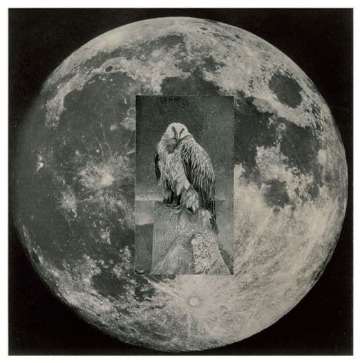 Group Exhibition — The Ends Of Collage