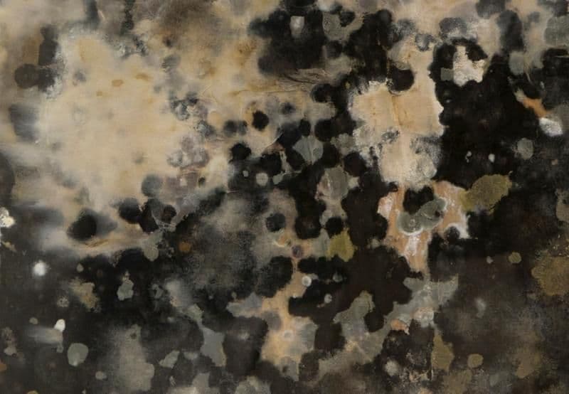 Group Exhibition — Amino Acids — image 3 of 3