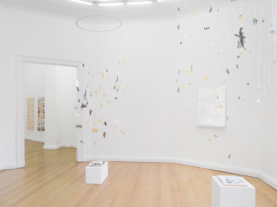 Iris Häussler — Seventeen Grams of Longing  — image 1 of 3