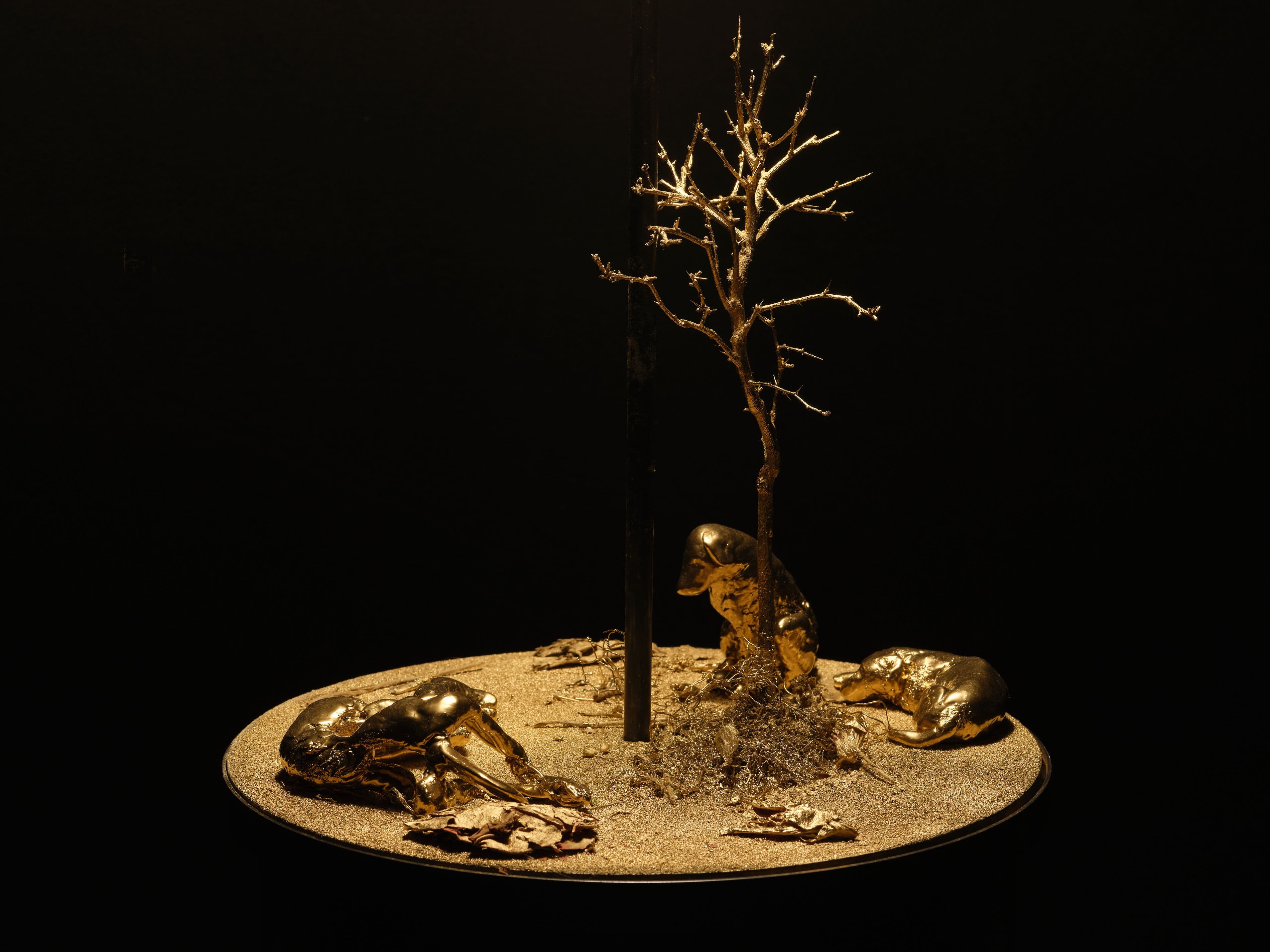 Robert Brambora — Lucy — image 12 of 12
