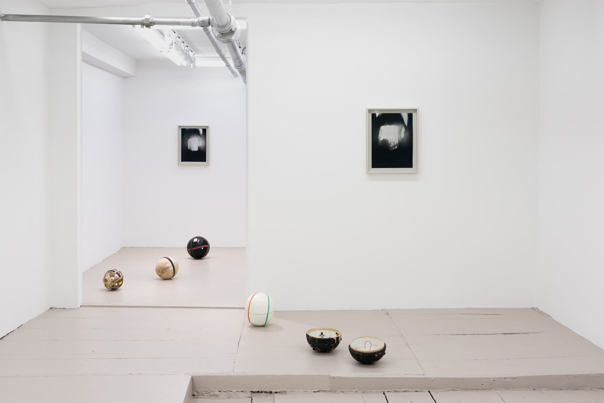 Nina Porter — My Proteins — image 1 of 2