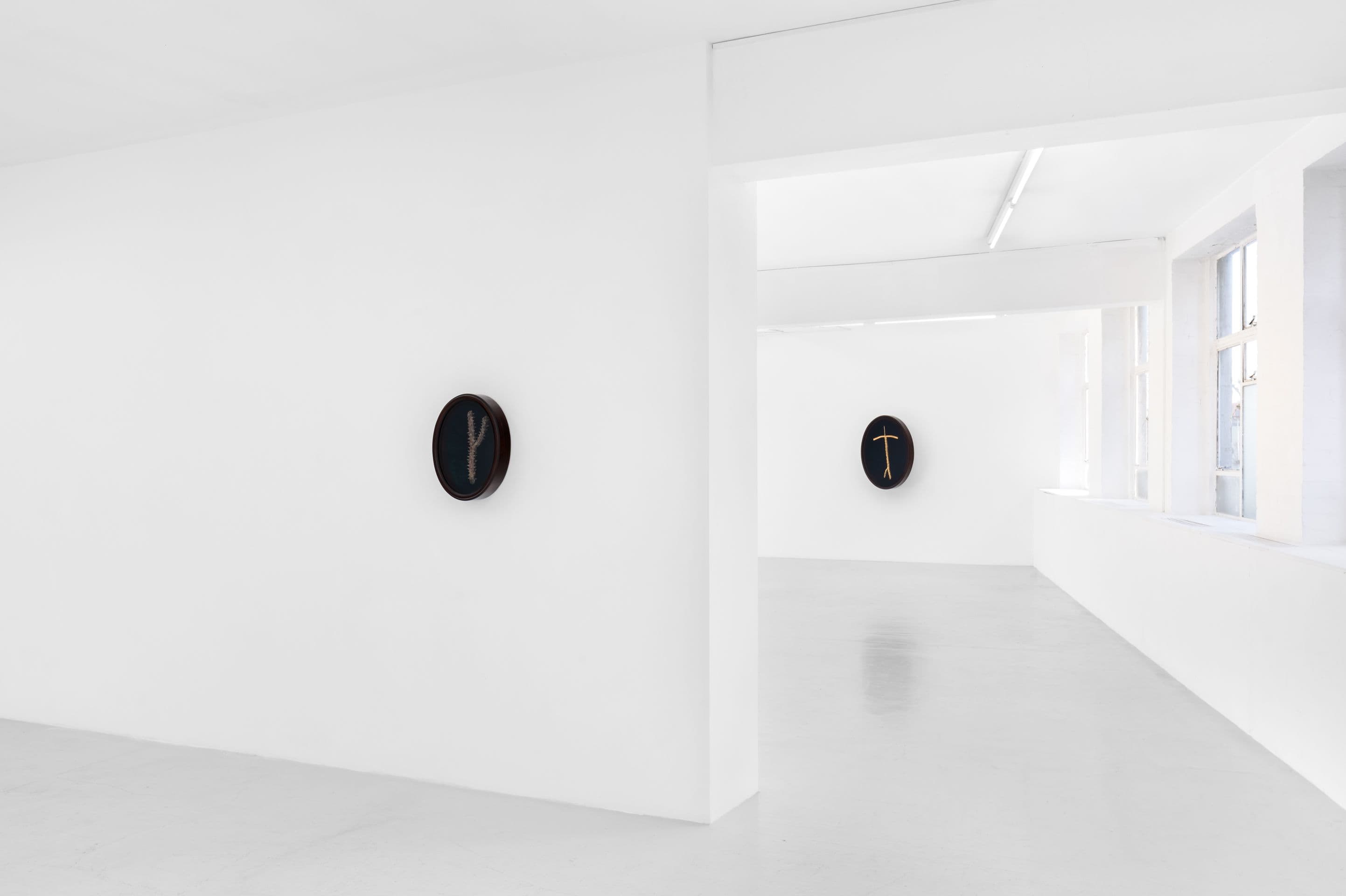 Zaza' — Condo London 2026 — image 11 of 12