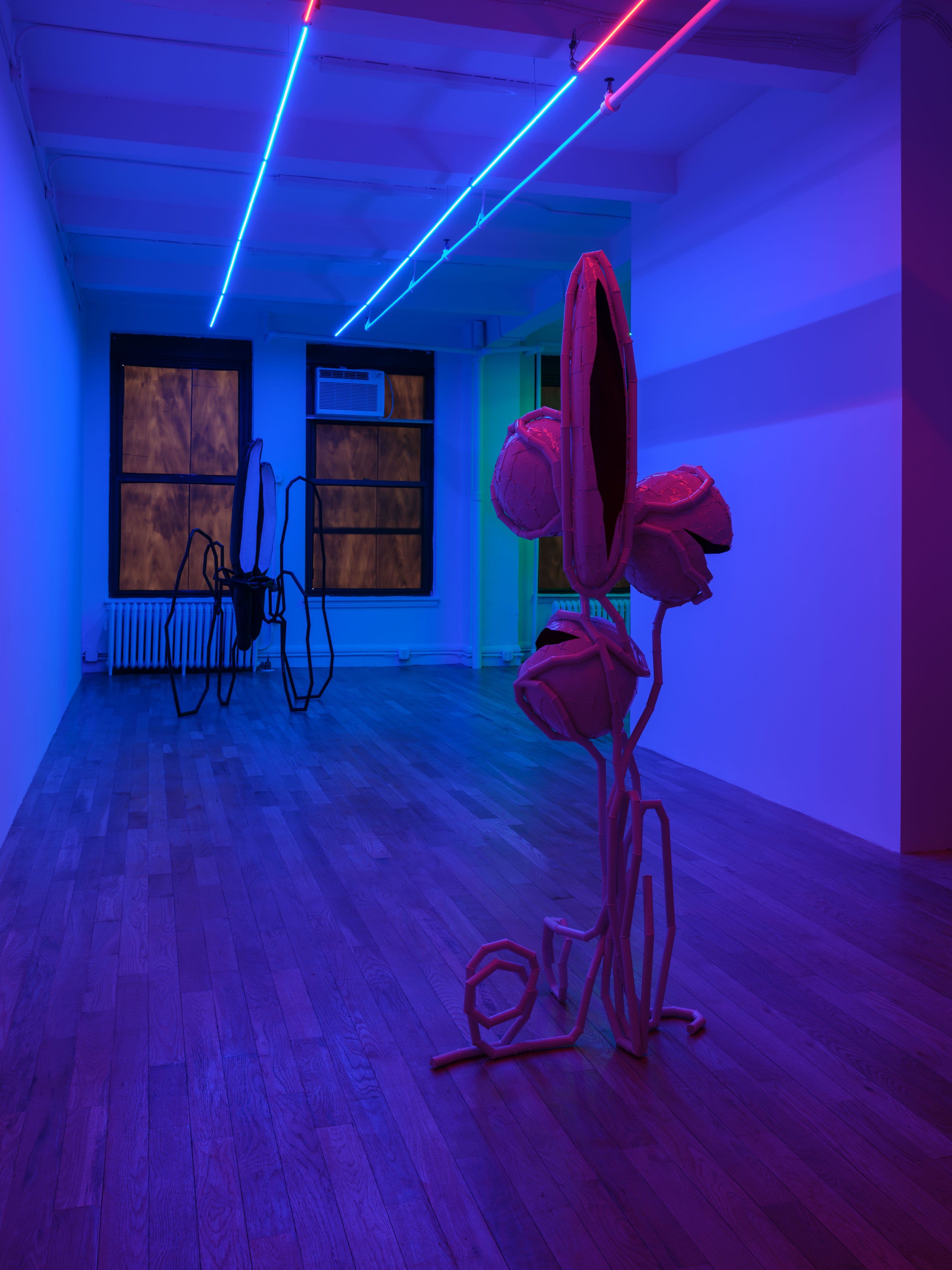 Indrikis Gelzis — Bingo Gaze — image 6 of 8