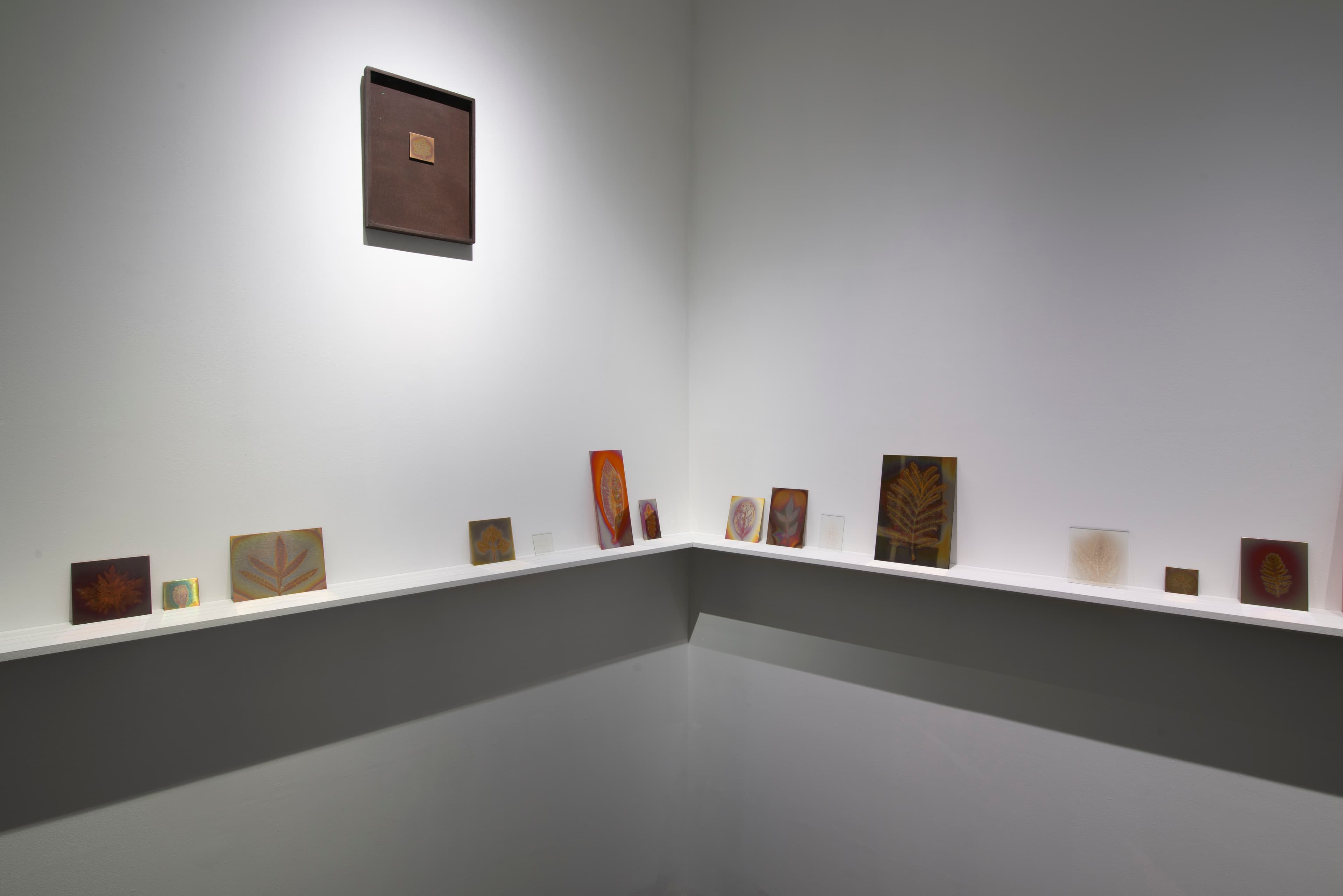 Hanako Murakami — Avant-Gardens (Part III): Sufficiently Near — image 4 of 7