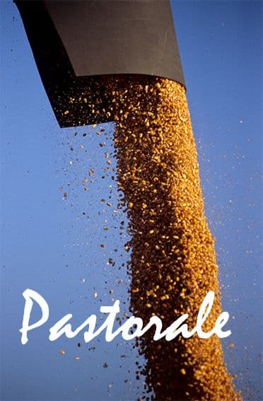 Gyan Panchal — Pastorale