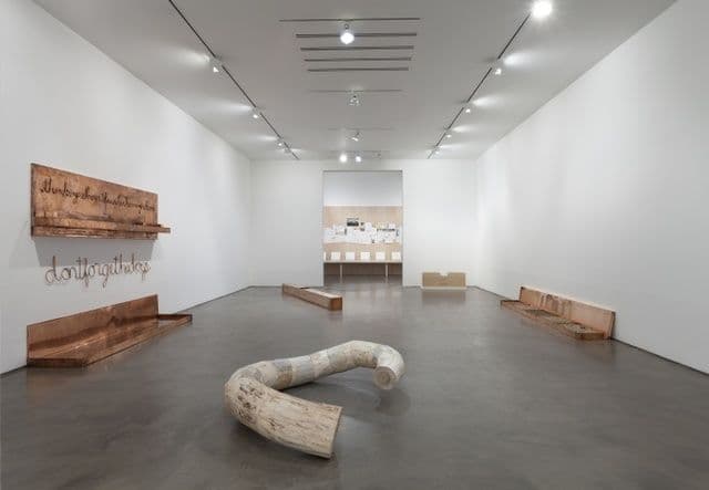 Robert Kinmont — trying to return home educated — image 1 of 8