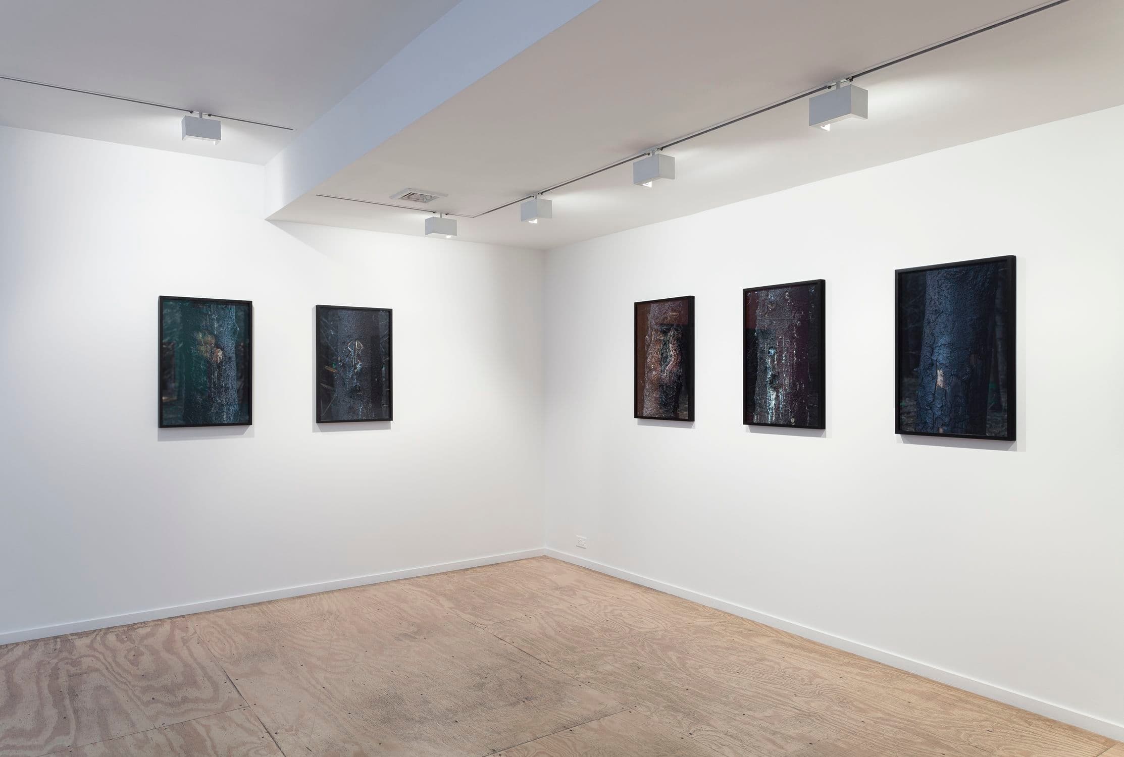 Willie Doherty — Willie Doherty — image 6 of 7