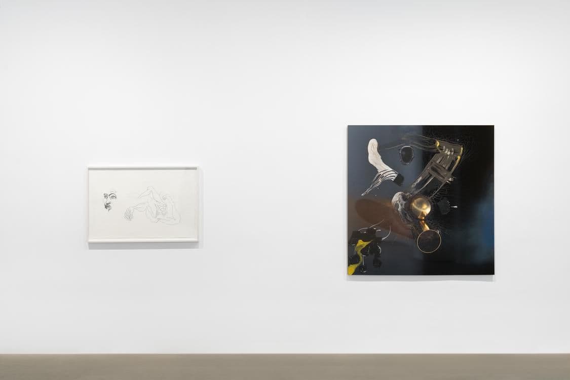 Seth Price — Free Fall — image 4 of 7