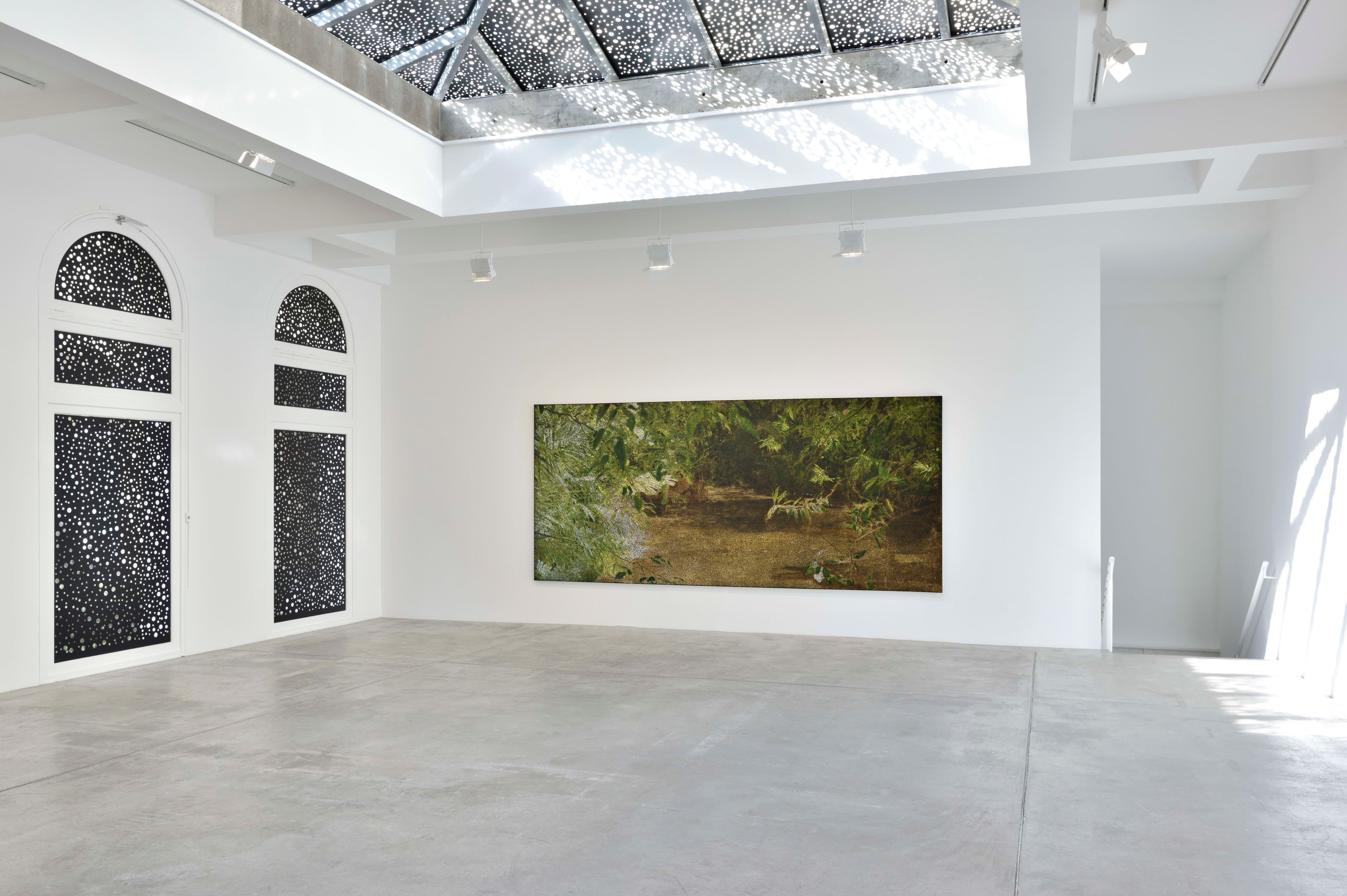 Daniel Boyd — Dream Time — image 1 of 5