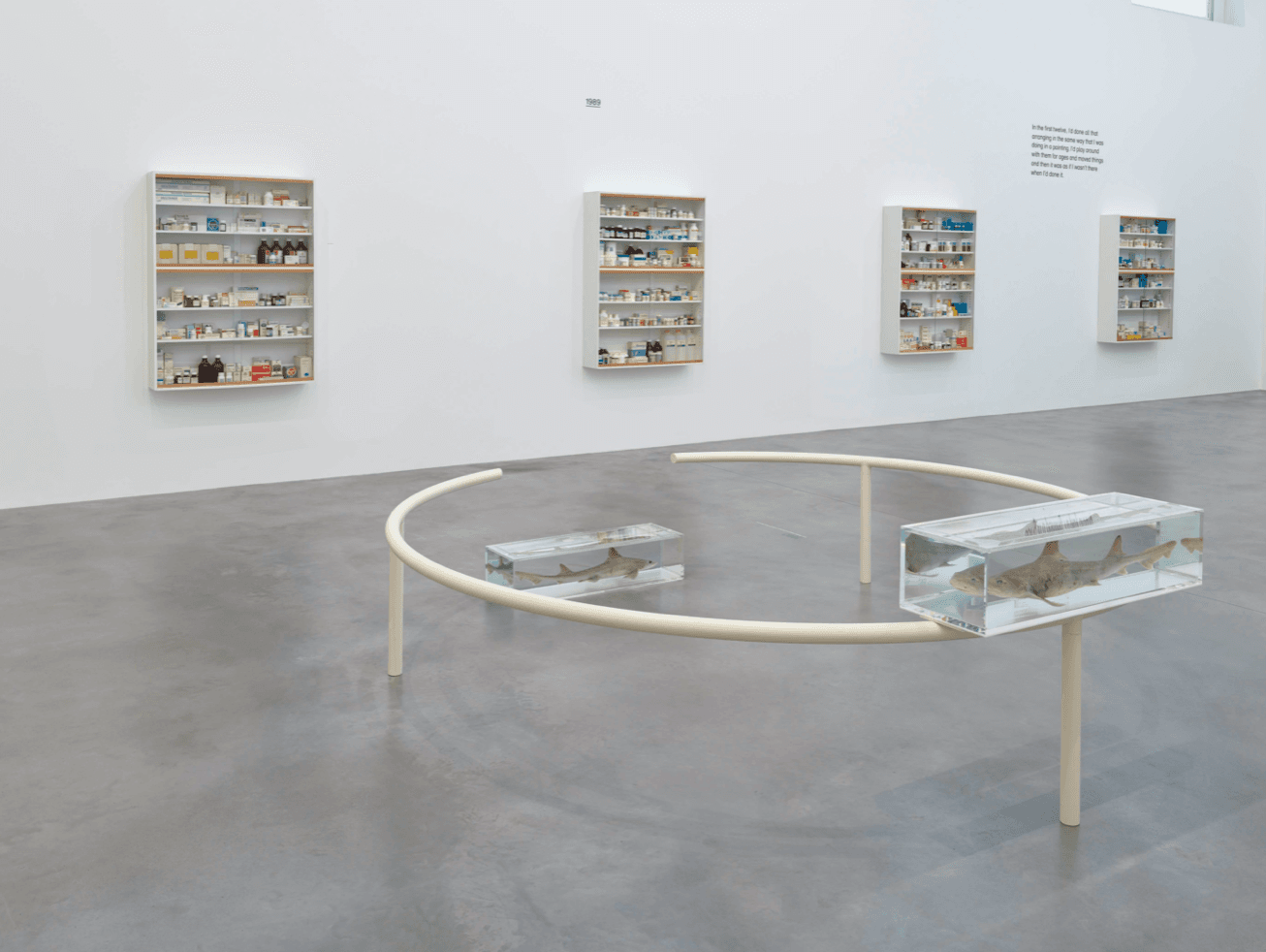 Damien Hirst — End of a Century — image 3 of 6