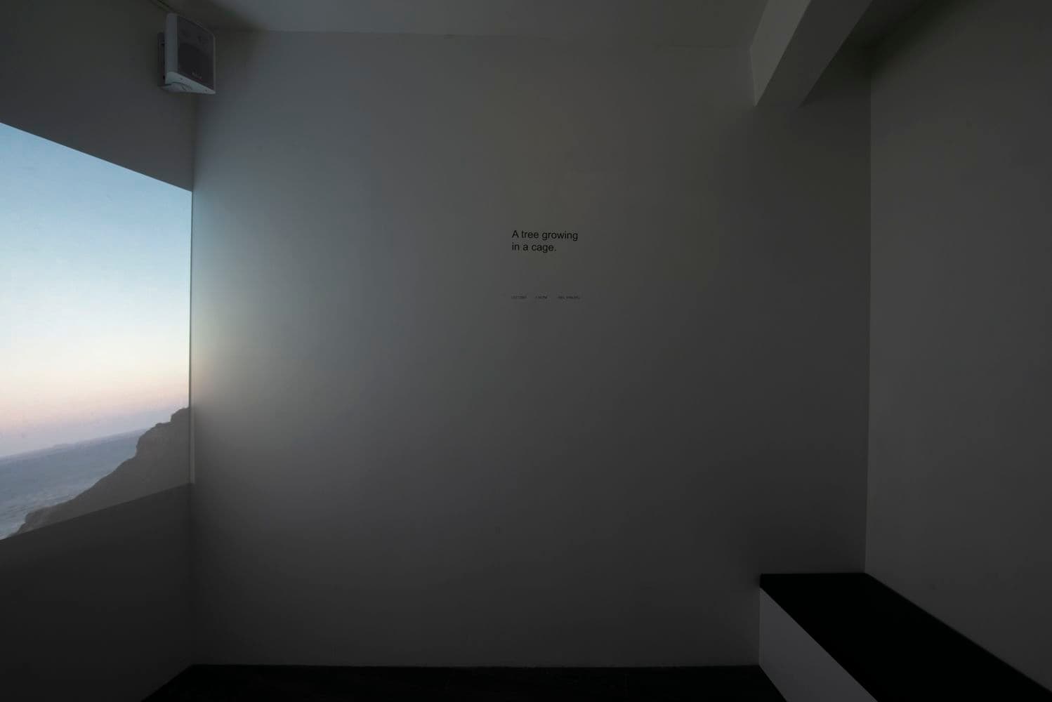 David Horvitz — Avenues All Lined With Trees — image 4 of 4