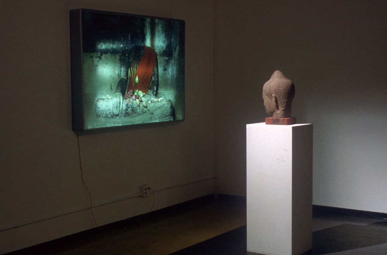 Dinh Q. Lê — Survey (1998-2023) — image 3 of 3