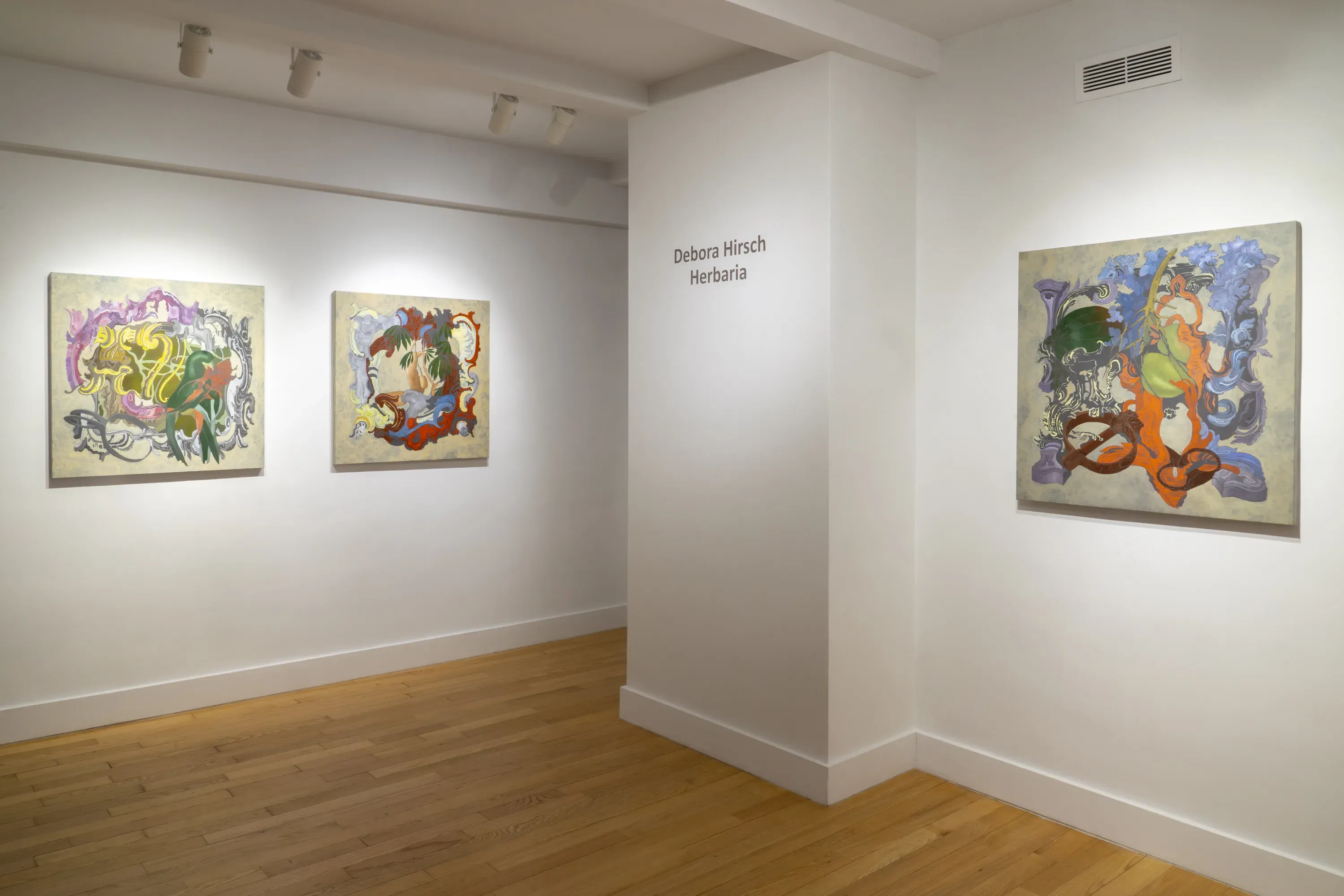 Debora Hirsch — Herbaria — image 5 of 8
