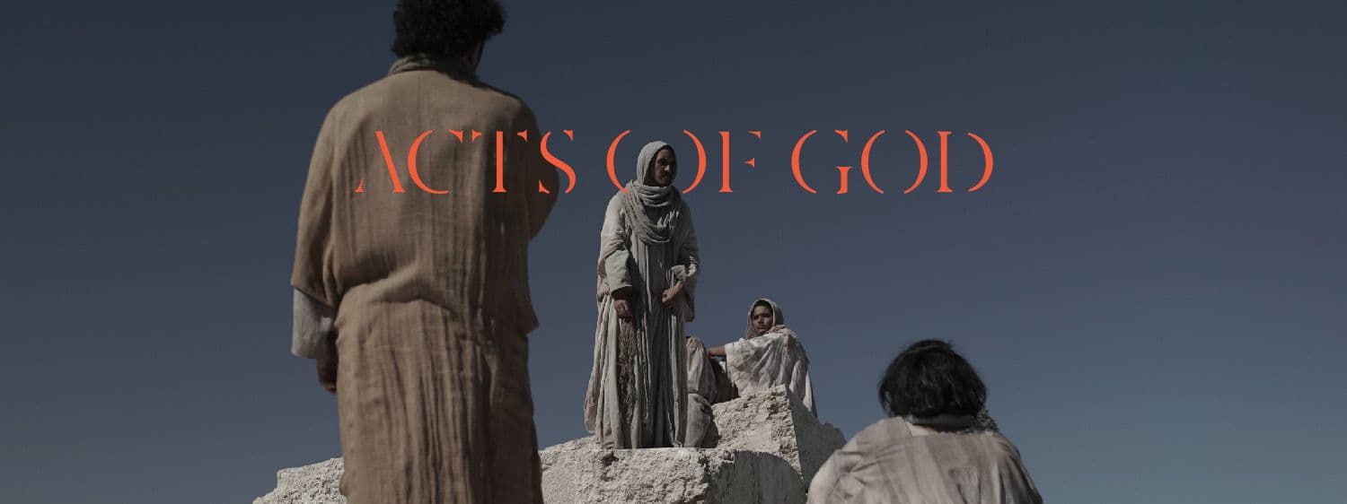 Pablo Vargas Lugo — Actos de Dios / Acts of God
