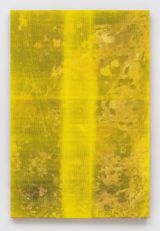 Evan Nesbit — Fields