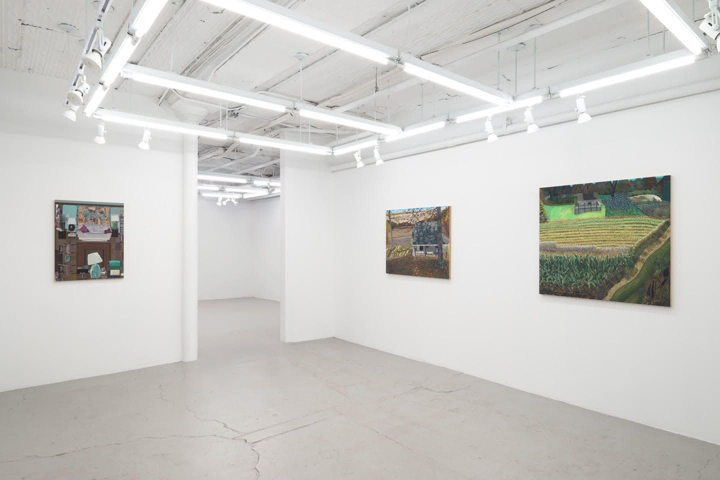 Ann Toebbe — Field and Stream of Consciousness — image 4 of 5