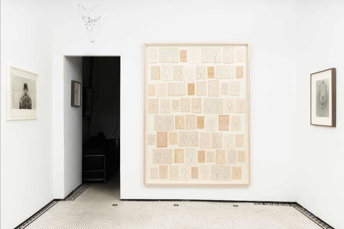 Eric Rhein — Sweetness on the Mountain — image 2 of 3