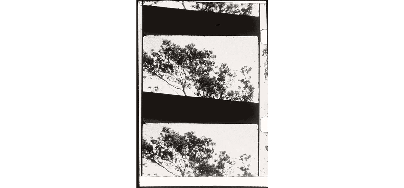 Group Exhibition — Interconnected Landscapes