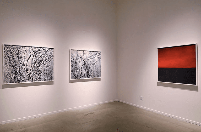 Carolyn Marks Blackwood — On the Edge — image 6 of 6