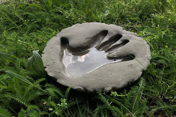 Mircea Cantor — Thirst for Stillness
