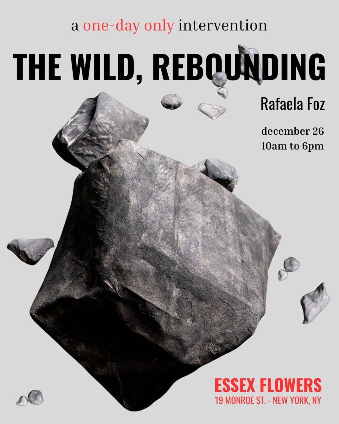 The Wild, Rebounding
