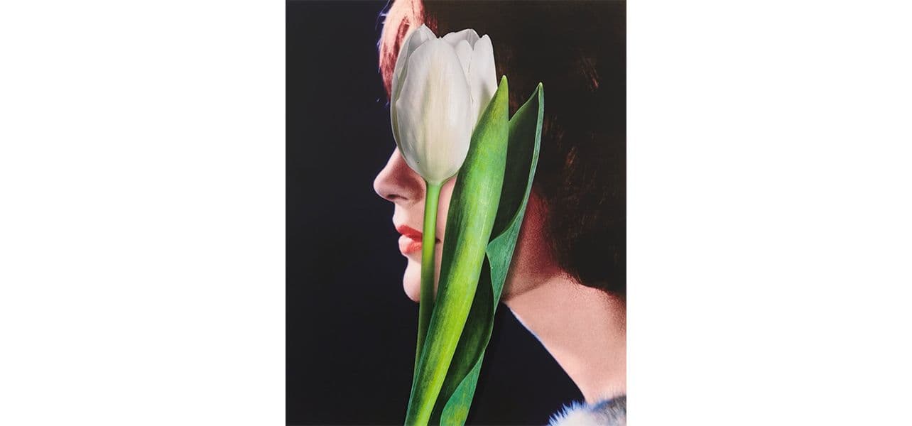 Urs Fischer — Beauty