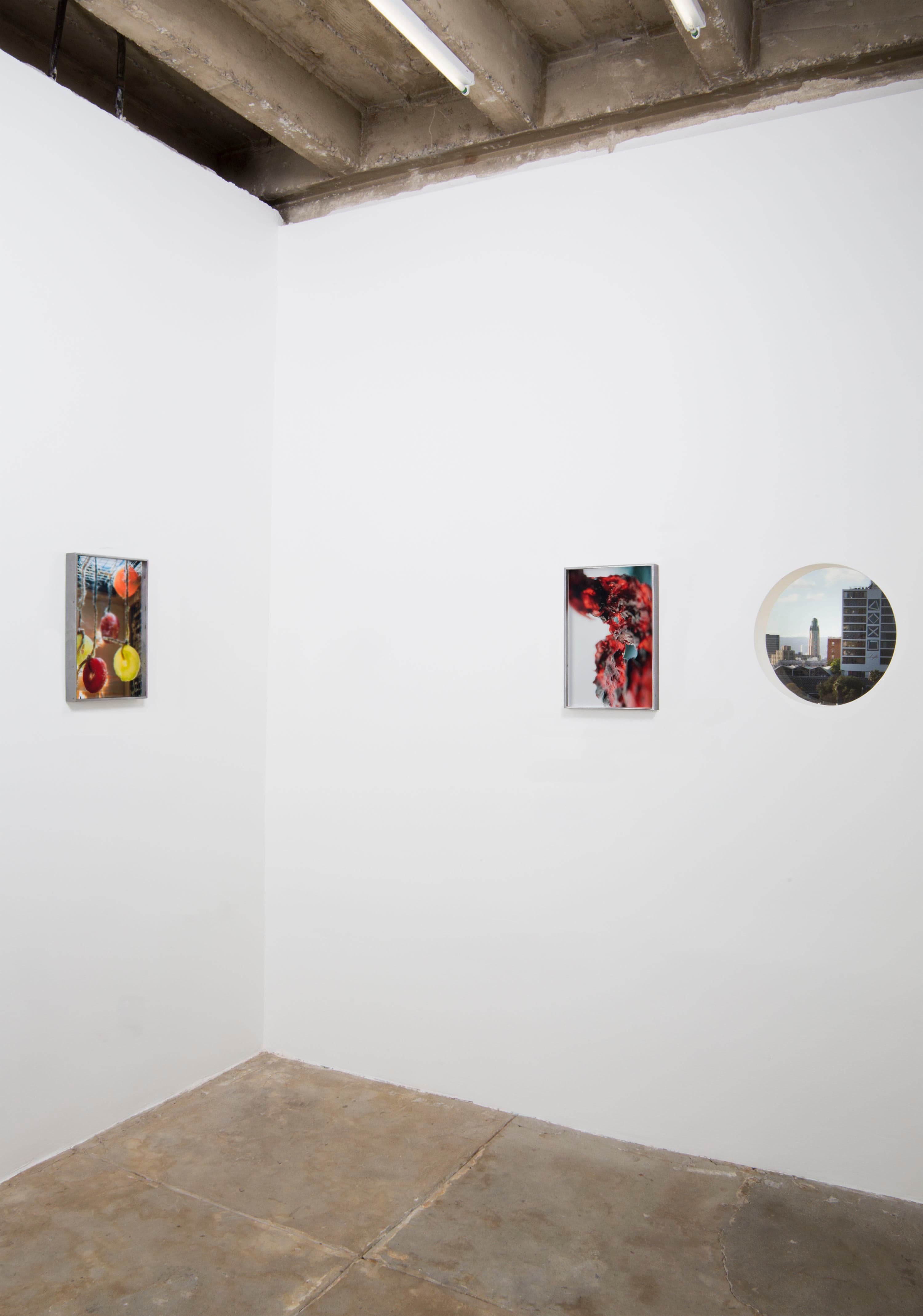 Diane Severin Nguyen — Flesh Before Body — image 1 of 5
