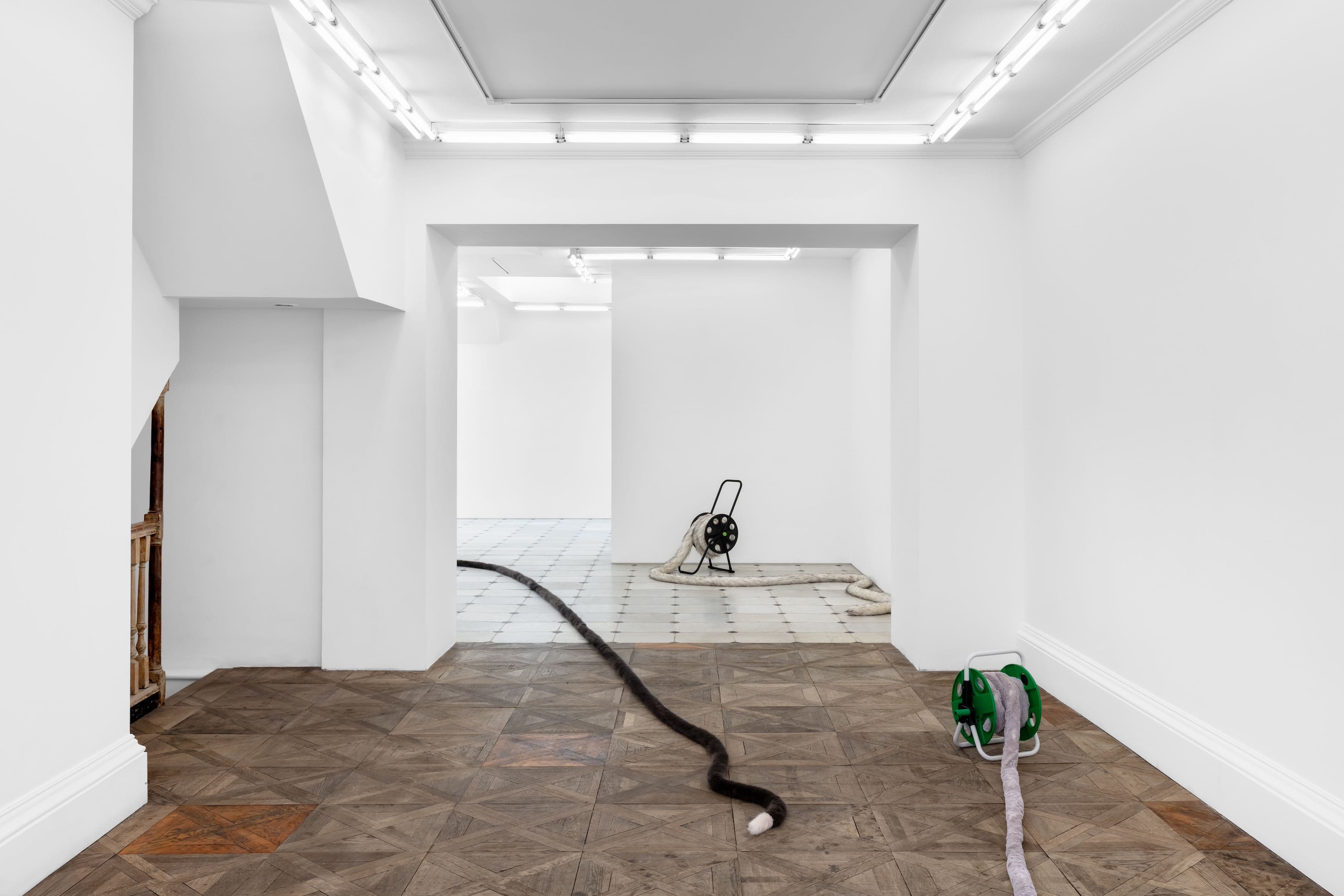 Nicole Wermers — Tails & Fainters — image 1 of 8