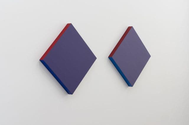 Spencer Finch — Decoy