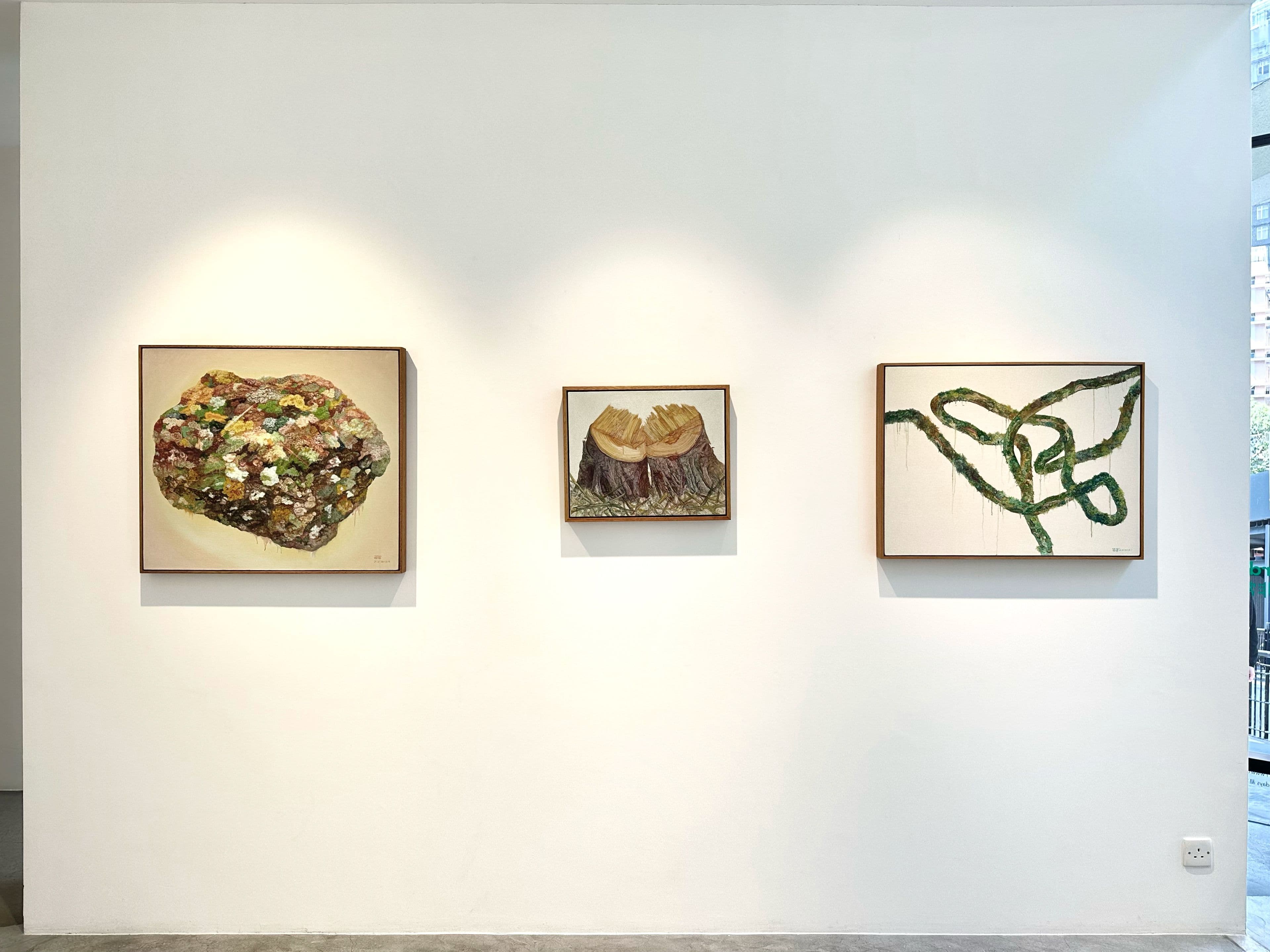 Wu Didi — Extra/Ordinary — image 3 of 8