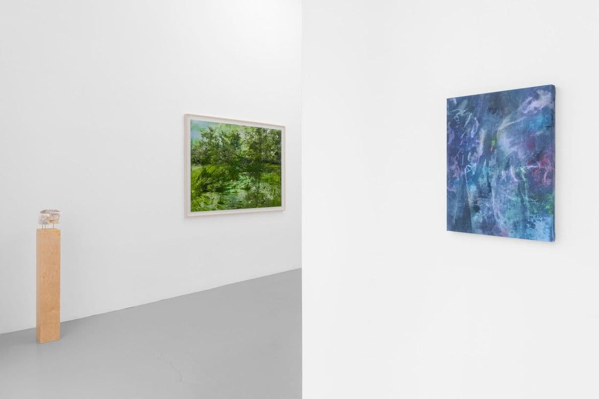 Cole Sternberg — A Forest of Thoughts in Quick Succession — image 4 of 4