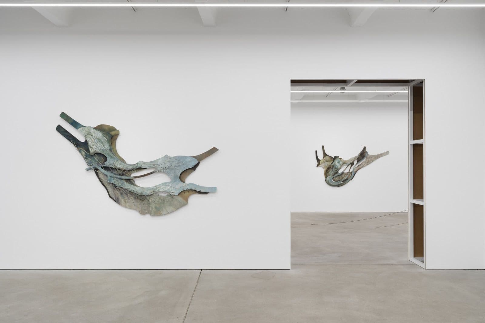 Rim Park — Radix — image 2 of 3