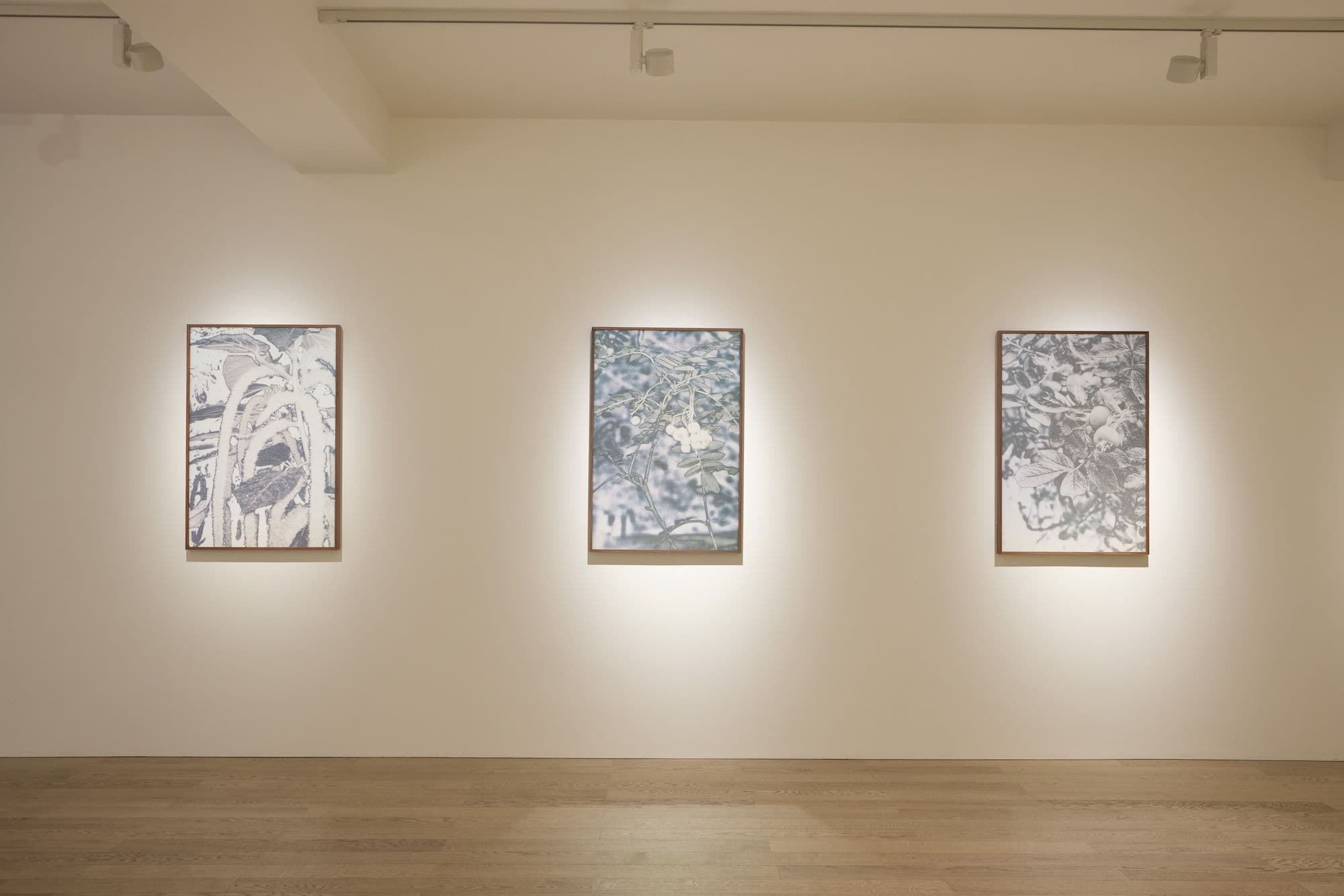 The Garden and the Gaze - Image 3
