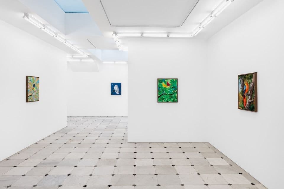 Djordje Ozbolt — Birdsongs of Praise — image 1 of 5