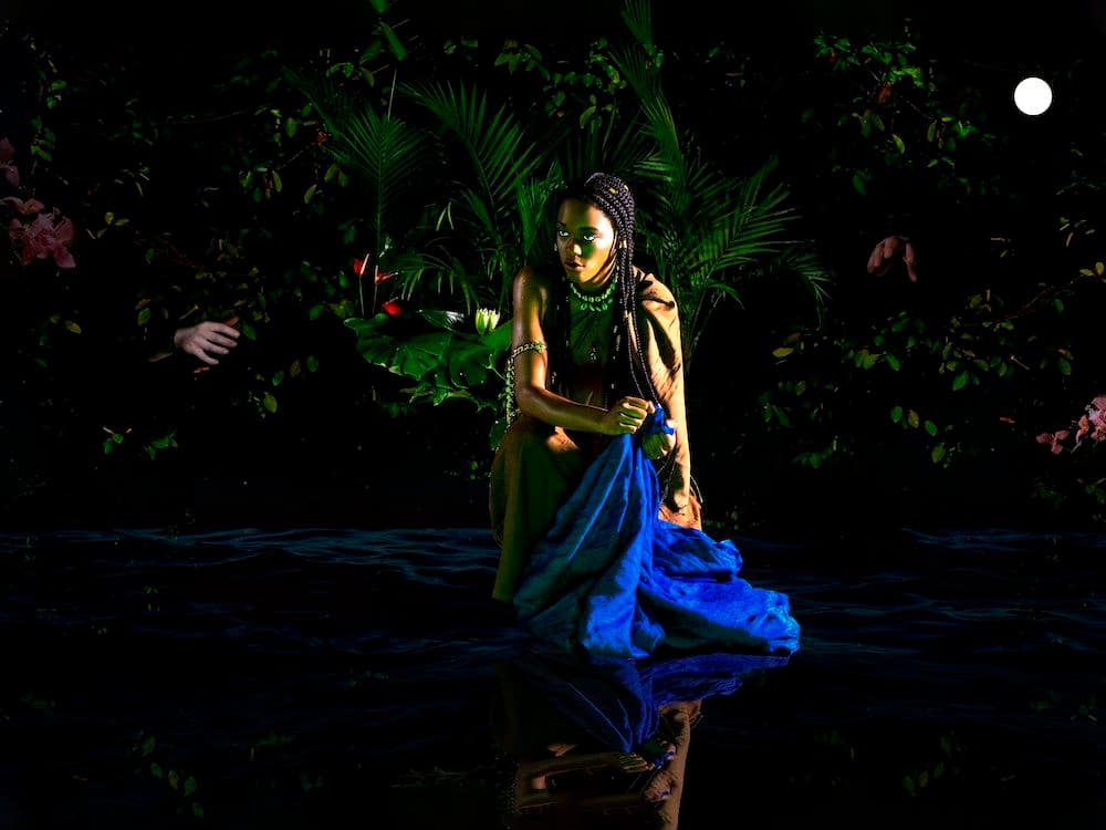 Christopher Udemezue — Under the Palm Tree Leaves — image 2 of 2