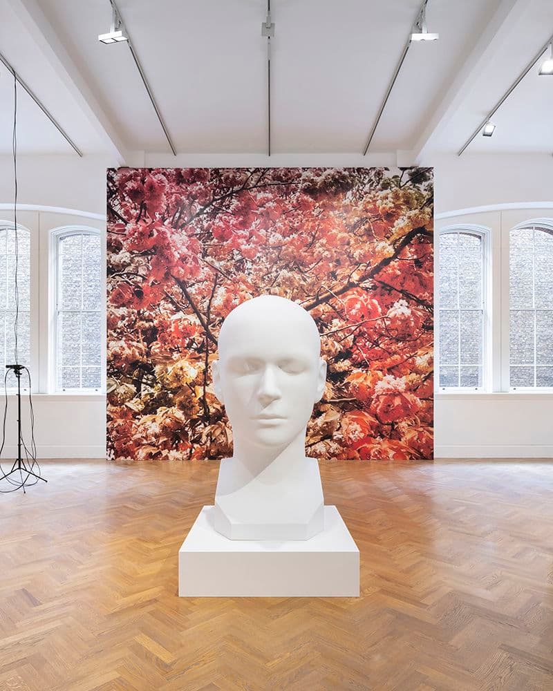 Trevor Paglen — Bloom