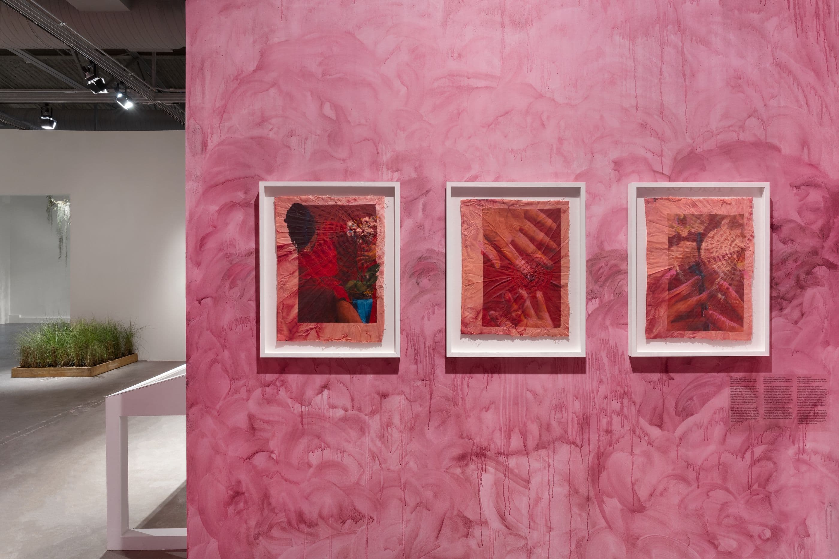 Diana Eusebio — Field of Dreams — image 10 of 10