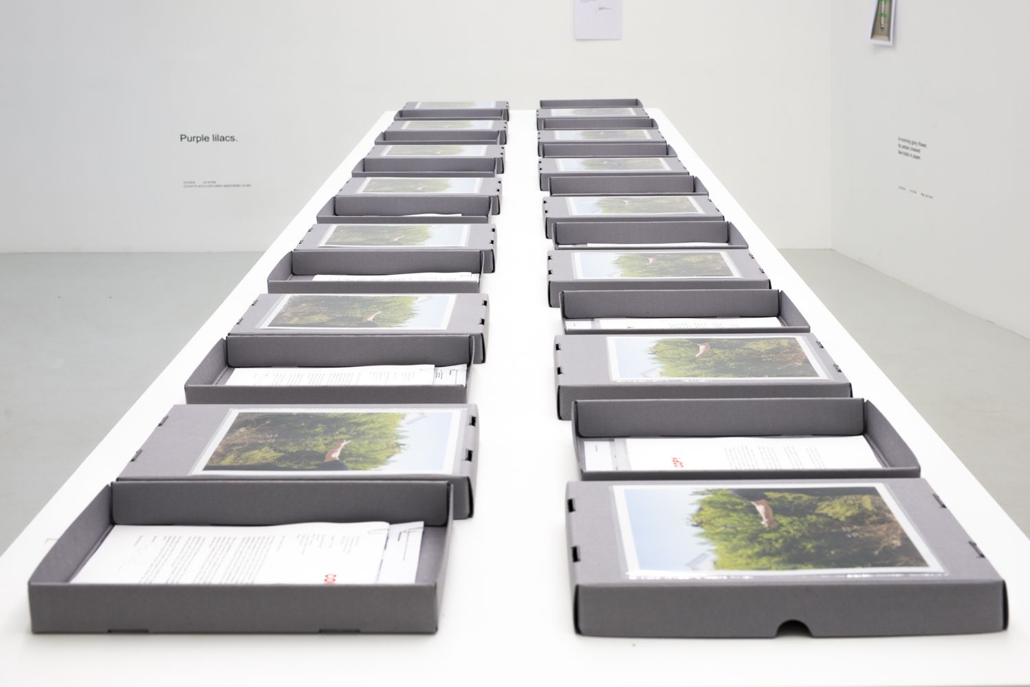 David Horvitz — Avenues All Lined With Trees — image 2 of 8